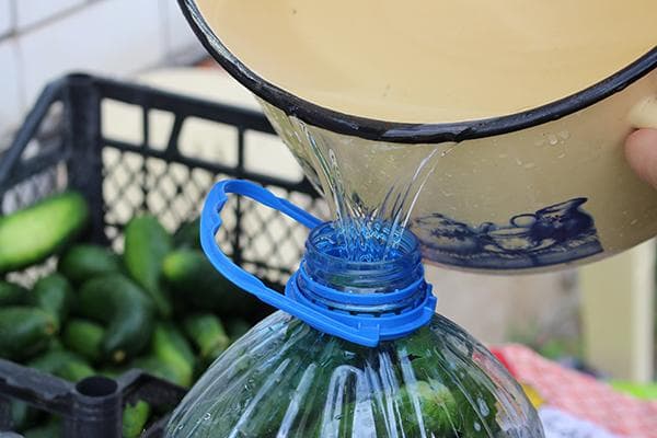 Gurken einlegen in einem Plastikbehälter