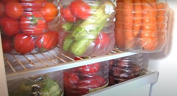 Gemüsebehälter aus Plastikflaschen