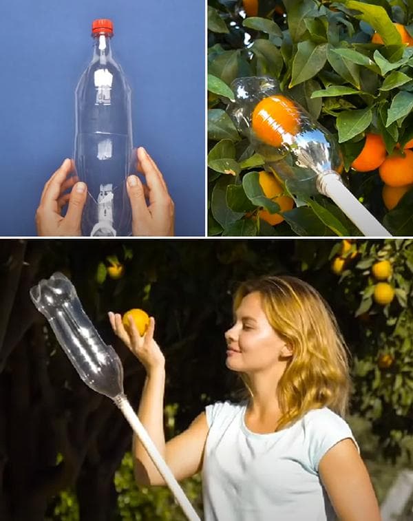 Obstpflücker aus einer Plastikflasche