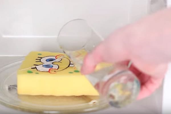 Schwamm mit Wasser in der Mikrowelle