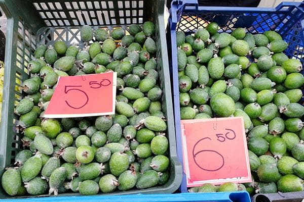 Verkauf von Feijoas auf dem Markt