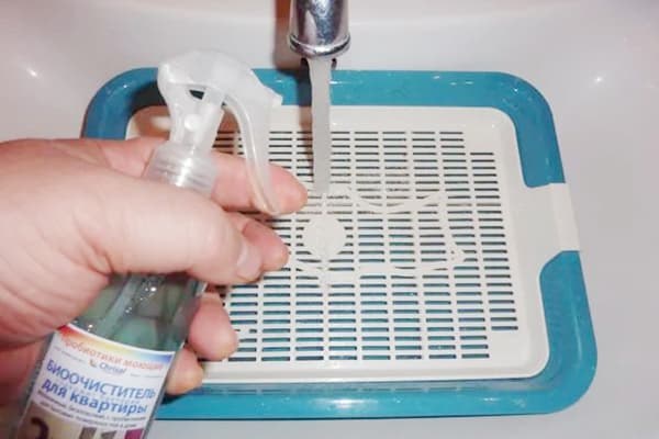 Reinigung der Katzentoilette