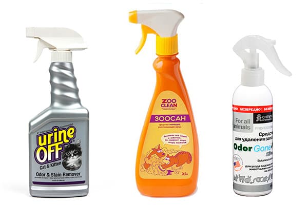 Sprays gegen Katzengeruch