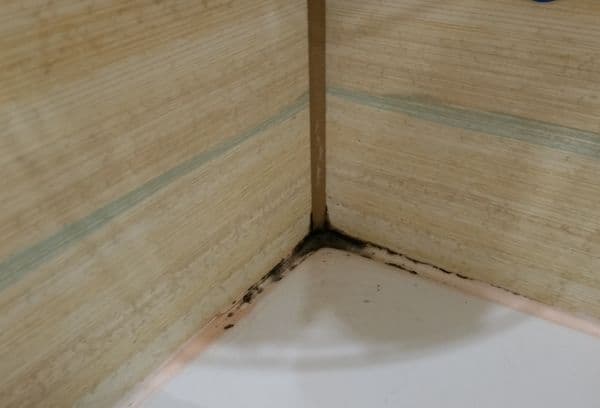 Moisissure dans la salle de bain entre les joints
