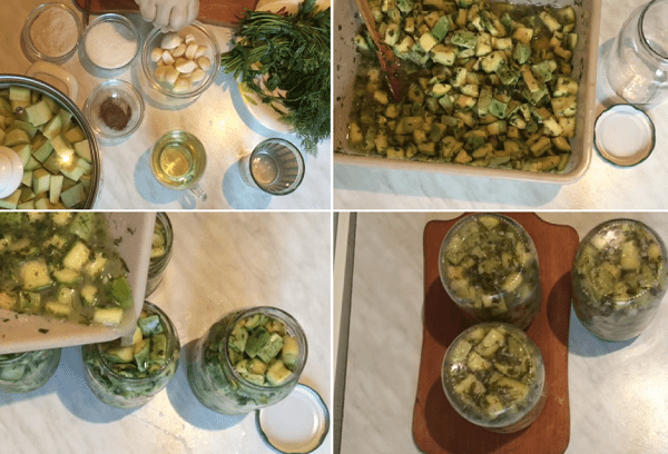 Zucchini wie Milchlinge