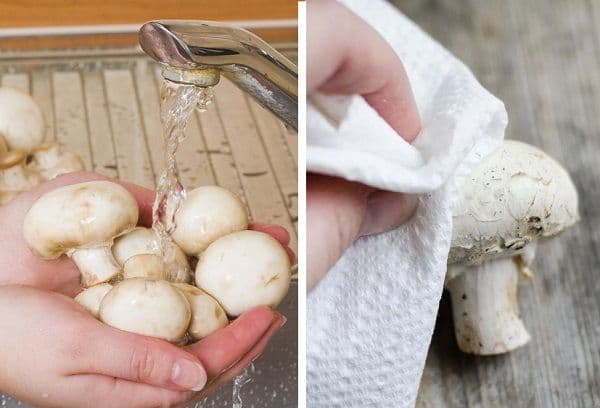 Reinigung von Champignons