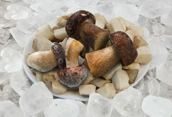 Pilze und Eiswürfel