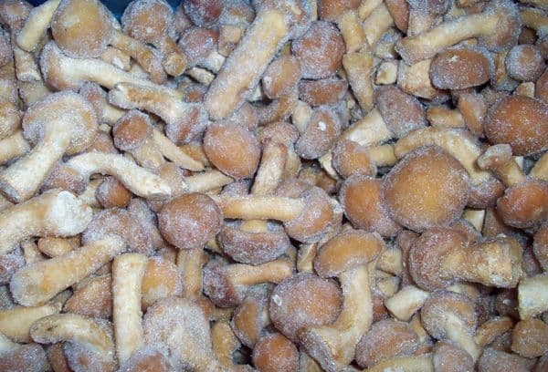Tiefgefrorene Steinpilze