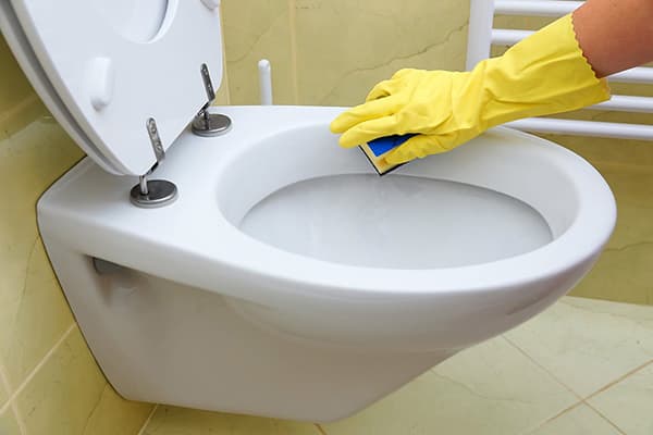 Toilettenreinigung