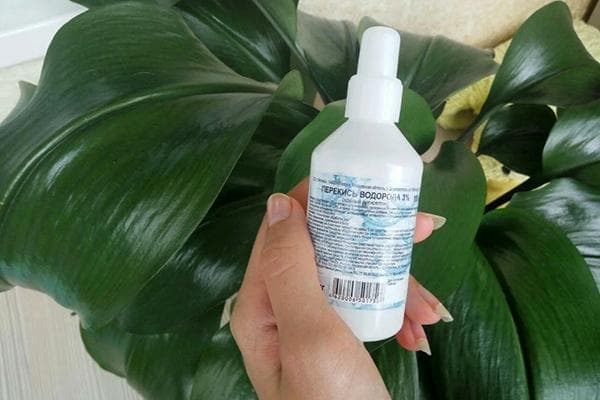 Wasserstoffperoxid für Zimmerpflanzen