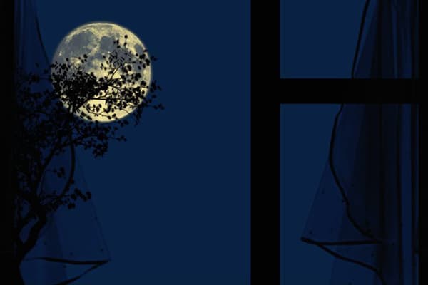 Der Vollmond vor dem Fenster