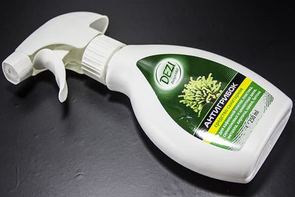 Schimmelspray