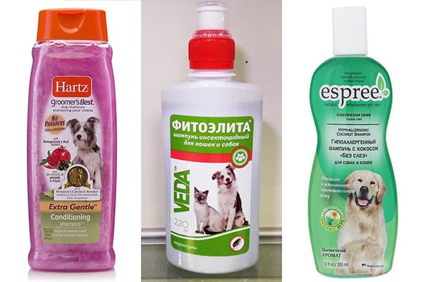 Geeignete Hunde-Shampoos
