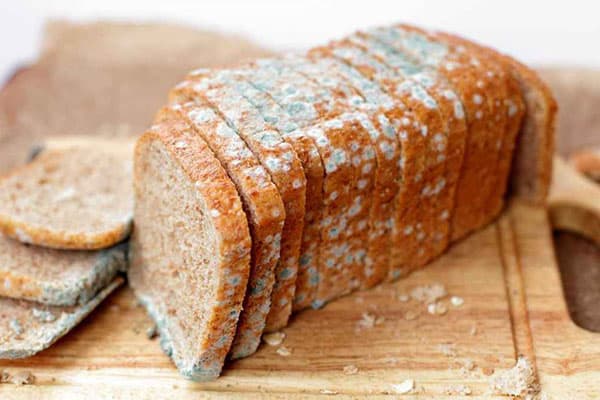 Verschimmeltes Brot