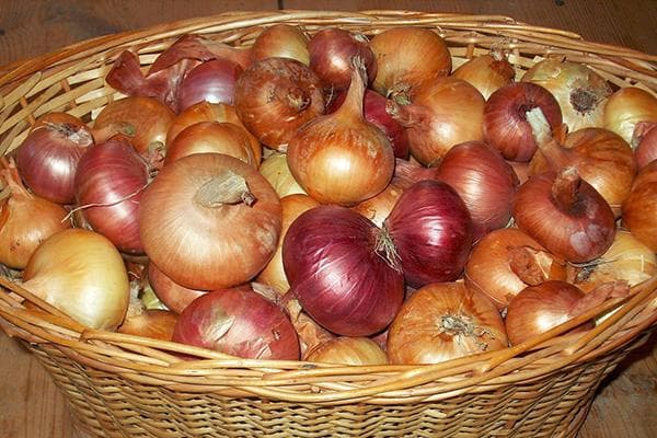 Zwiebeln im geflochtenen Korb