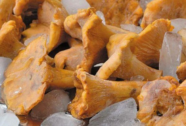 Tiefgekühlte Pfifferlinge