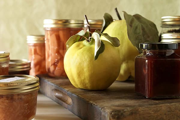 Quittenfrüchte und Quittenmarmelade