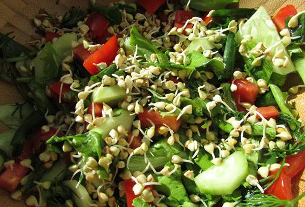 Salat mit grünem Buchweizen