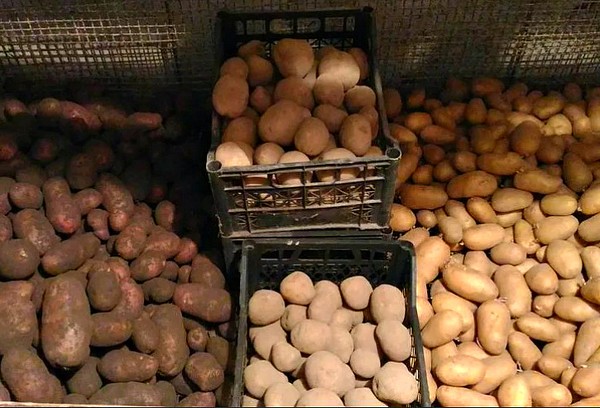 Kartoffelkisten