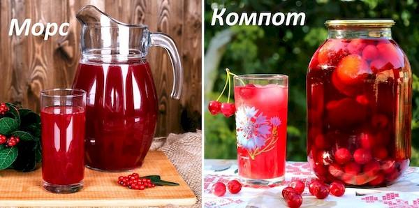 Fruchtgetränk (Mors) und Kompott