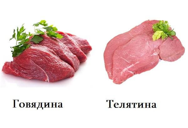 Rindfleisch und Kalbfleisch