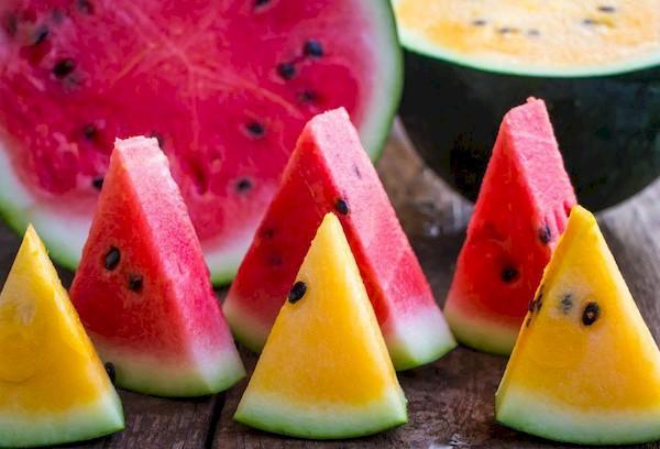 Bunte Wassermelone