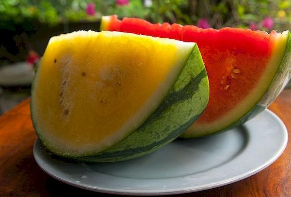 Gelbe und rote Wassermelone von außen