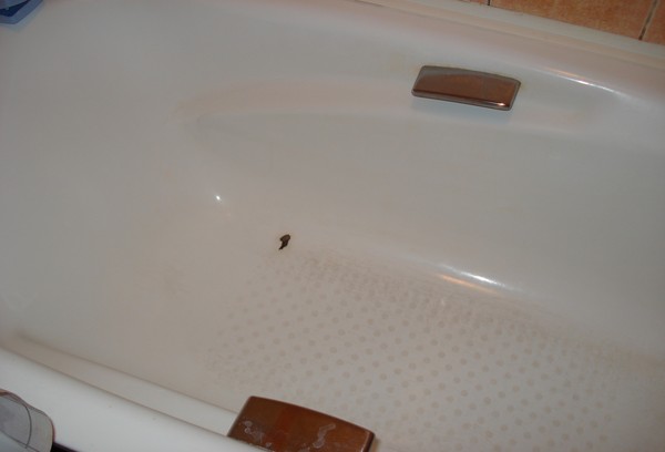 Acrylbadewanne mit Kratzern
