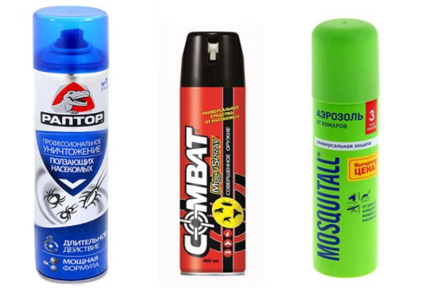 Chemische Mittel gegen Wespennester – Aerosole