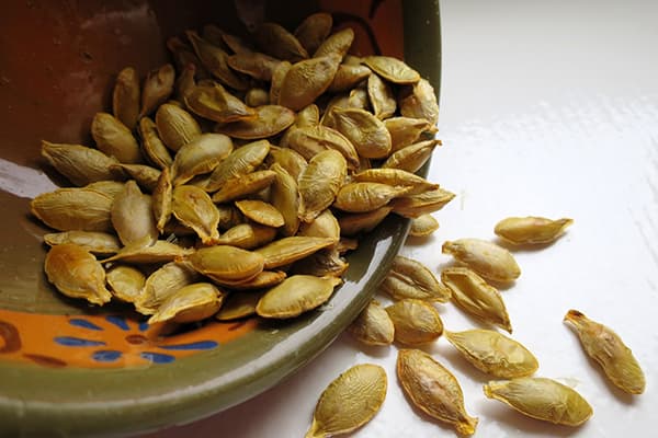 Kerne des Nacktsamigen Kürbisses
