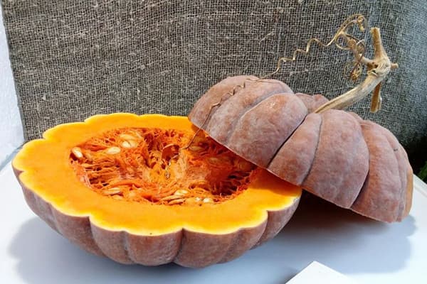 Reifer Kürbis im Querschnitt