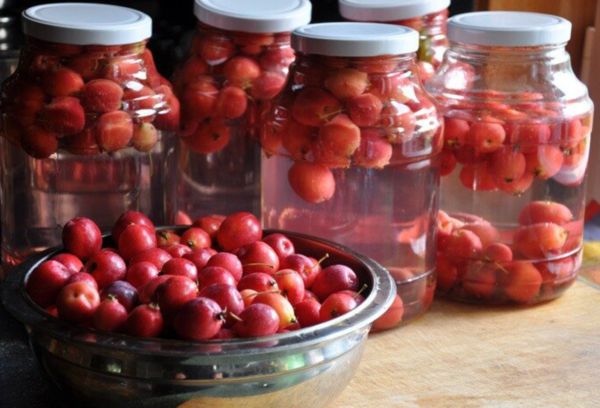 Weißdornbeeren-Kompott