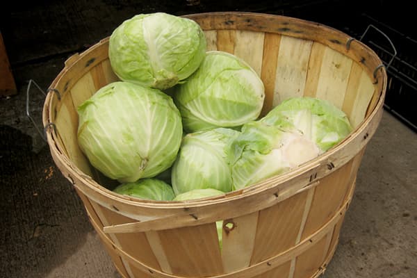 Kohlköpfe im Korb