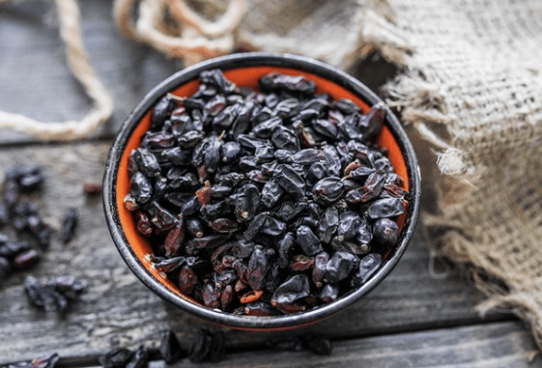 Schwarze Berberitze