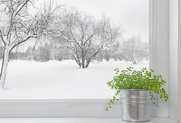 Winter vor dem Fenster
