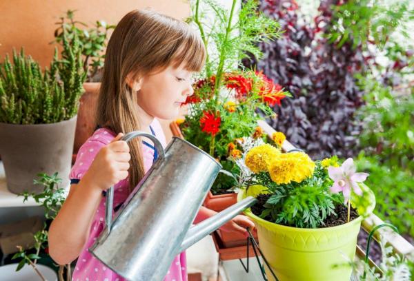 Kann man Blumen mit Salzwasser gießen?