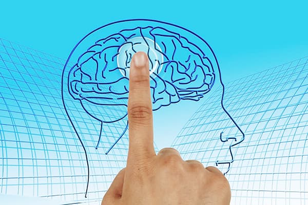 Erhaltung der Gesundheit des Nervensystems