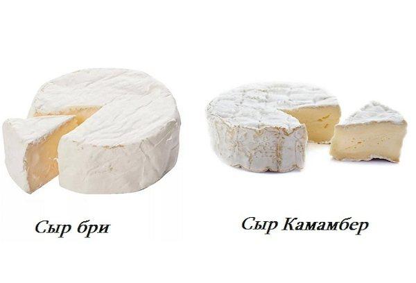 Brie und Camembert