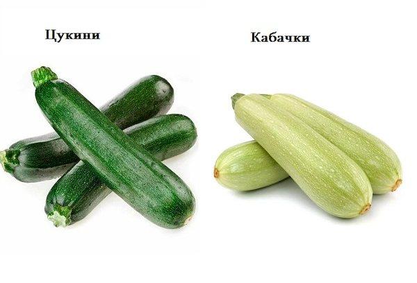 Zucchini und Kürbisse