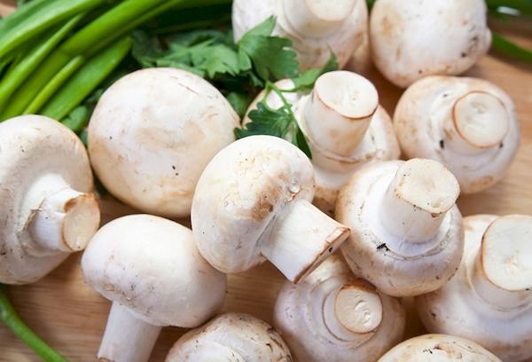 Weiße Champignons
