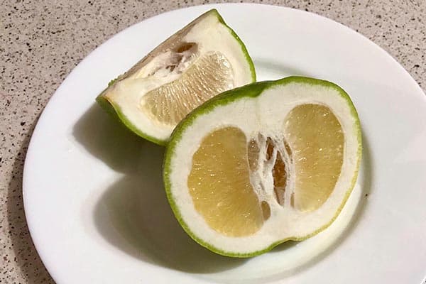 Süße Pomelo auf einem Teller