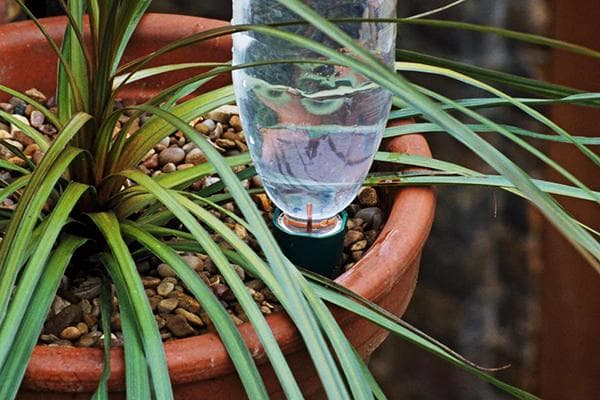 Automatische Bewässerung aus Plastikflaschen