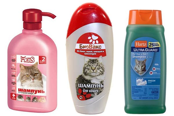 Veterinärshampoos