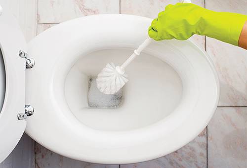 Toilettenreinigung
