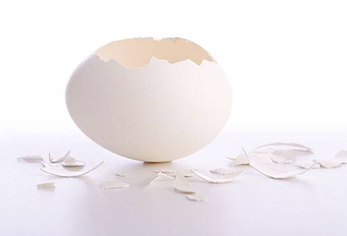 Eierschalen