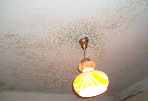 Schimmel auf der Kalkfarbe an der Decke