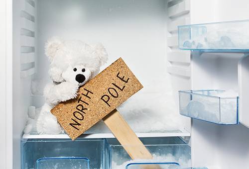 Gefrierschrank mit einem Plüsch-Eisbären
