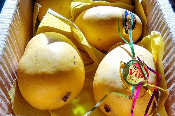 Mangofrüchte in einer Kiste
