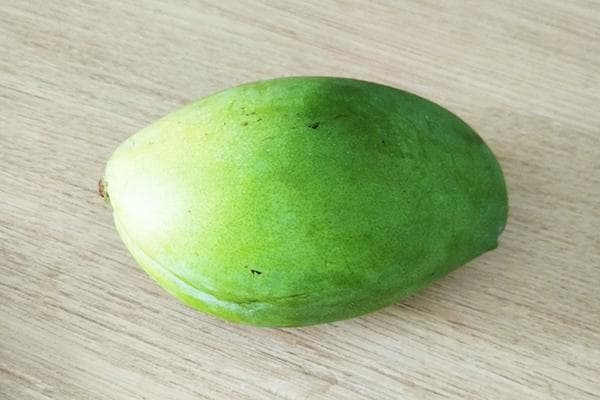 Unreife Mangofrucht