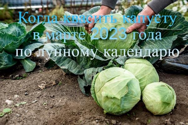 Kohl